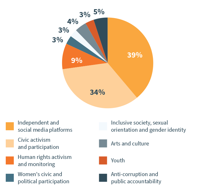 A chart image showing Grants awarded by thematic area